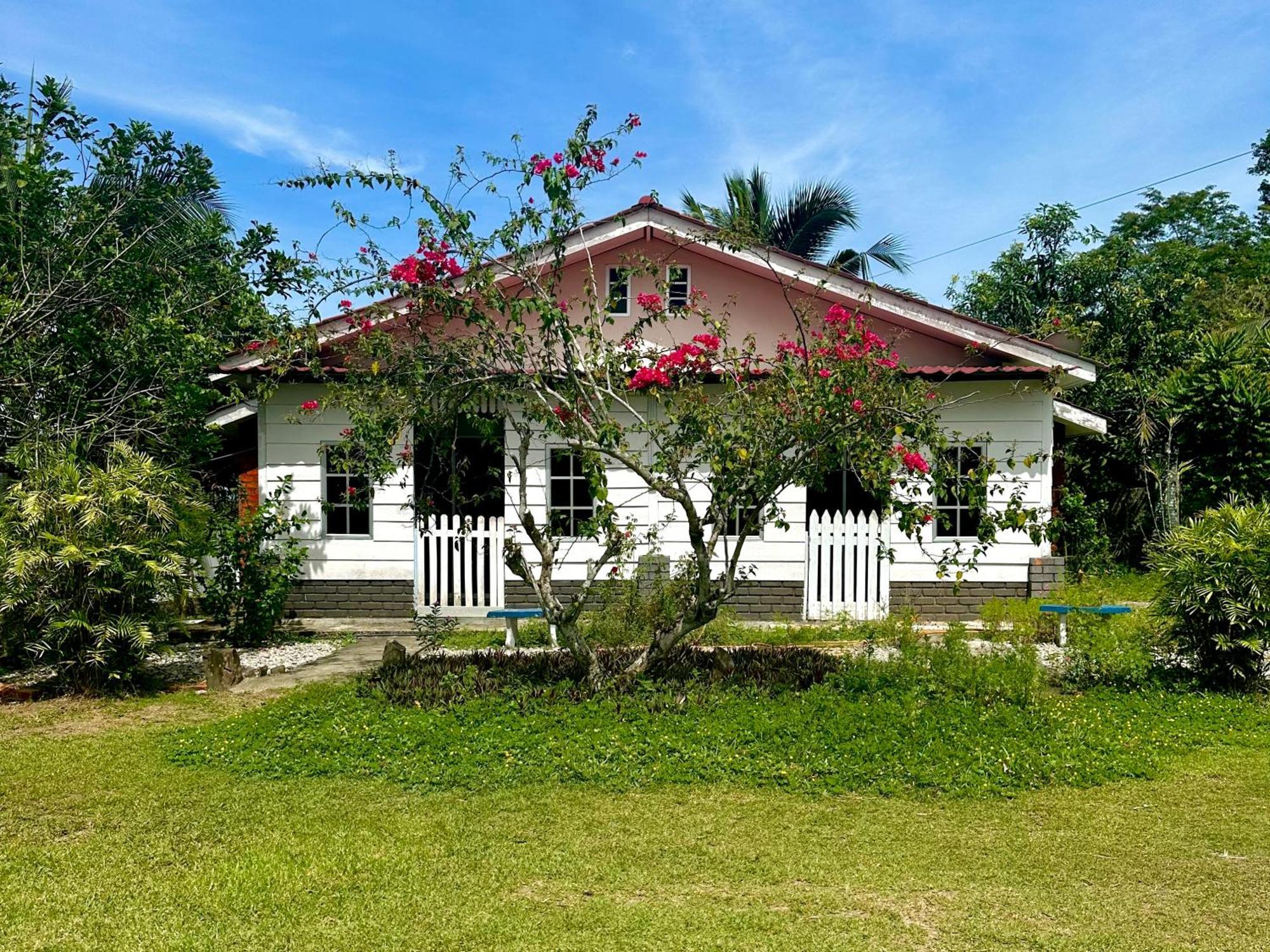 Kapal Terbang Guest House Langkawi Pantai Cenang  Buitenkant foto